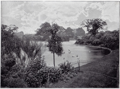 Dulwich Park Lake